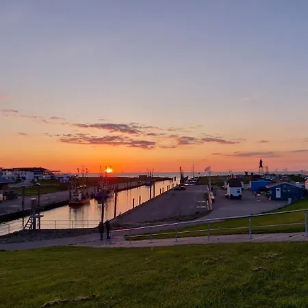 Deichfuerst Dorumer Neufeld