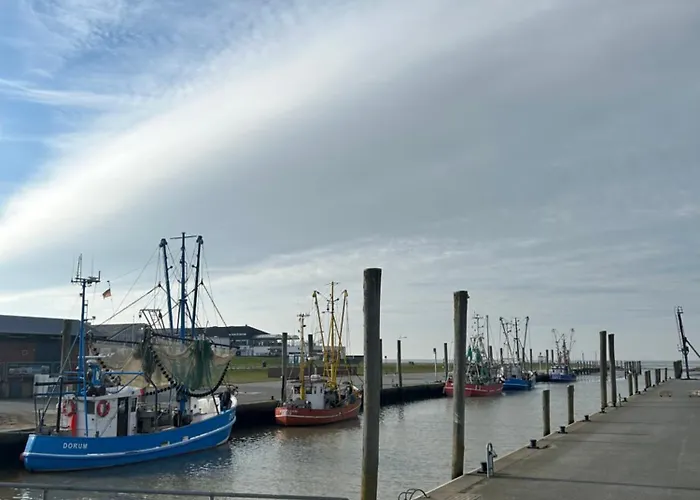 Deichfuerst Feriehus Dorumer Neufeld